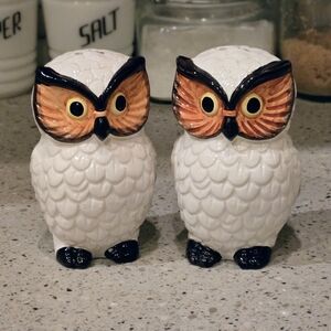 1960's Vintage Owl Salt & Pepper Shakers Farmhouse Decor Country Decor